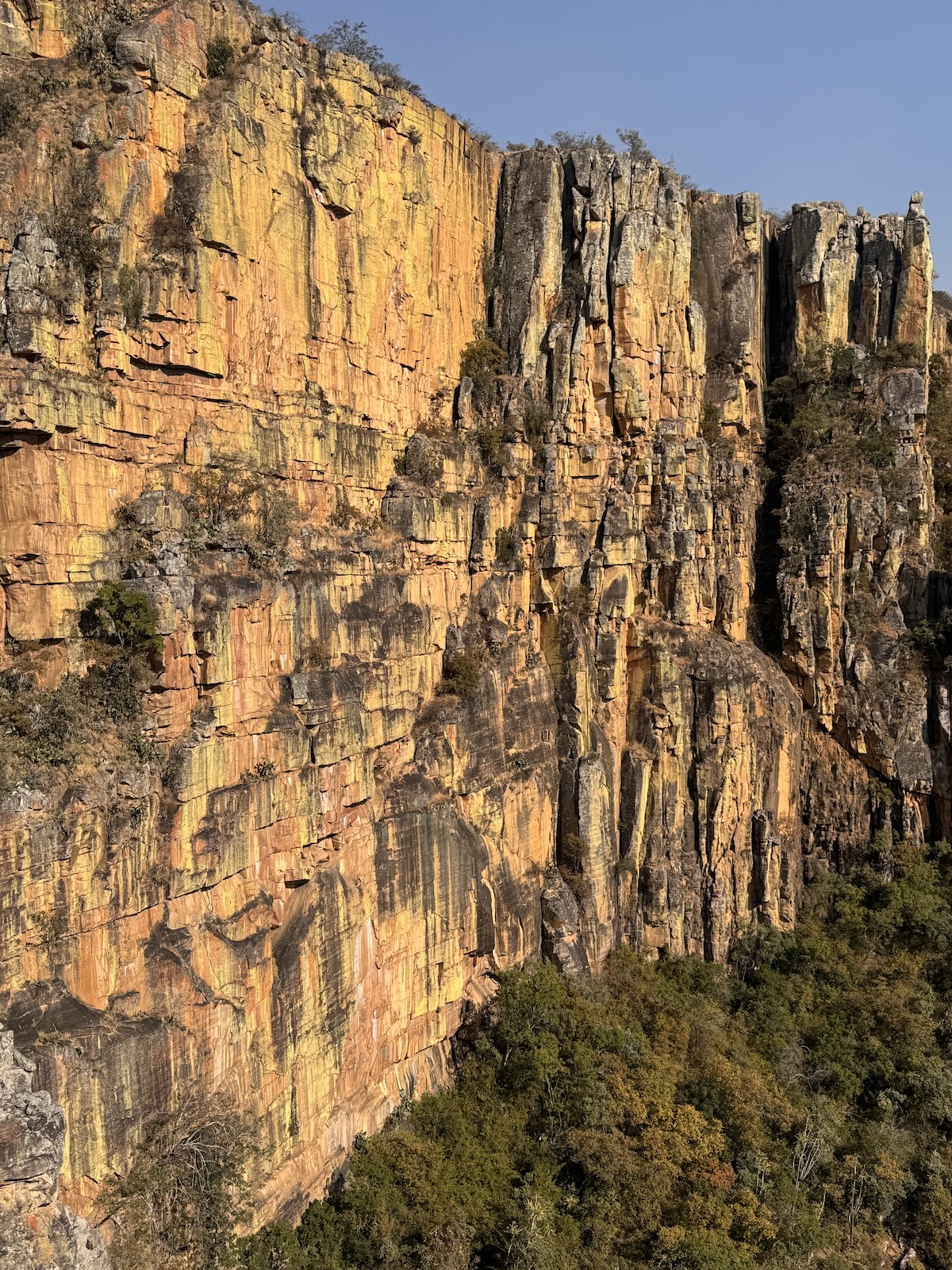 Testimonial background